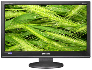 Monitor Samsung 24 Inch 2494HS