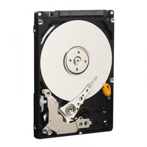 Wd800bevt