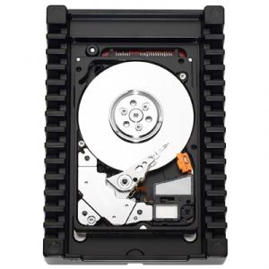 HDD Western Digital Enterprise WD3000HLFS