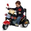 Motocicleta electrica Sun Rider