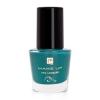 Lac pt unghii cod fm n011 - dark jade