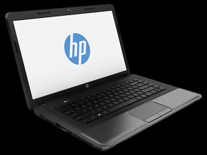 HP 250 G1   15, 6    LED HD 1366 x 768 pixeli LED-backlit anti glare   Intel Pentium 2020M (2, 4 GHz,  cache de 2 MB,  2 nuclee)   1 x 4 GB DDR3 1600 MHz   750 GB 5400   DVD+/-RW   Placa grafica Intel HD   LINUX  WIR 802.11 b/g/n   Bluetooth   HD web c
