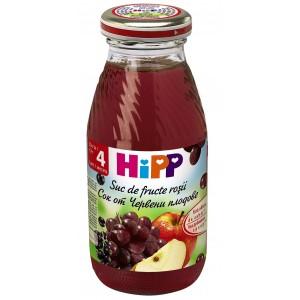 Suc de fructe rosii - 200ml HiPP