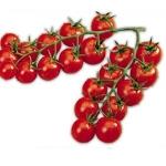 Seminte tomate cherry Camelia F1