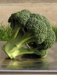 Seminte broccoli Ironman