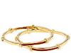 Diverse femei Jessica Elliot - Skinny Candied Bangle with Enamel in Gold/Red (set of 2) - Gold/Red