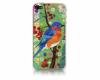 Folie design Apple iPhone 4/ 4S COLORFUL BIRD