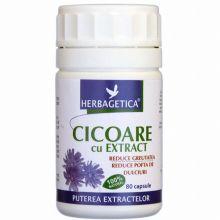 CICOARE EXTRACT 80CPS