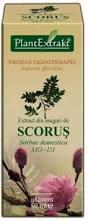 EXTRACT MUGURI SCORUS 50ML