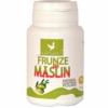 FRUNZE DE MASLIN 40CPS