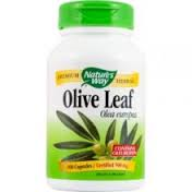 OLIVE LEAF 500MG 100CPS