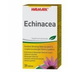 WM-ECHINACEEA 30CPR