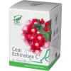 ECHINACEEA C  20DZ-Ceai echinaceea