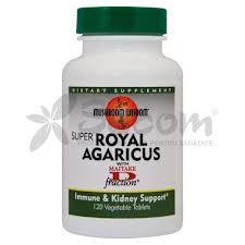 SUPER ROYAL AGARICUS 120CPR-Imunitate,antitumoral