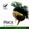 MACA  30CPS