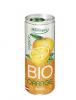 Suc de portocale bio 0.25l biosens