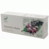 Pueraria lobata 30cps