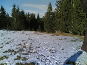 Teren in bucovina