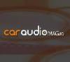 Sisteme audio si video pentru masini