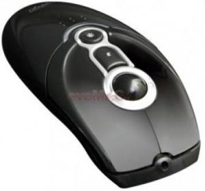 Mouse wireless presenter