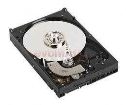 Lenovo - Hard Disk Server 500GB SATA