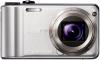 Sony - Camera Foto DSC-H55 (Argintie) + Husa Piele + Card 4GB