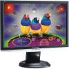 ViewSonic - Promotie Monitor LCD 19" VX1940w