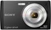 Sony - promotie camera foto digitala w510 (neagra) +