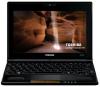 Toshiba -    laptop nb550d-109 (amd c50, 10.1", 1gb, 250gb, bt,