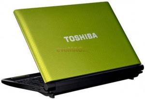 Toshiba - Laptop NB520-10C (Intel Atom N550, 10.1", 1GB, 250GB, Windows 7 Starter, Verde)