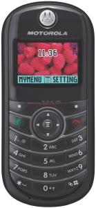 Motorola - Telefon Mobil C139-20157