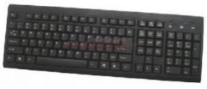 Gembird - Tastatura Gembird USB KB-8300U (Negru)