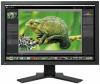 Eizo - cel mai mic pret! monitor lcd 21" cg241w