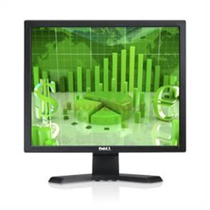 Dell - Monitor LCD 17" E170S