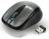 Conceptronic - mouse optic wireless cllmtr24wl nano