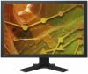 Eizo - monitor lcd 24" s2402w (negru) profesional