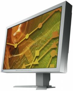 EIZO - Monitor LCD 24" S2402WE (Gri) Profesional
