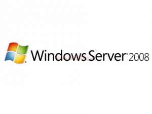 Windows server standard 2008 (open)