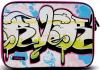 Canyon - husa laptop graffiti noseslide