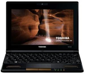 Toshiba -     Laptop NB550D-109 (AMD C50, 10.1", 1GB, 250GB, BT, Windows 7 Starter, Maro)