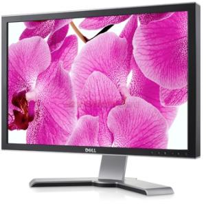Dell - Monitor LCD 24" 2408WFP