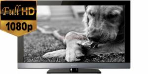 Sony - Promotie Televizor LCD 32&quot; KDL-32EX500 + CADOU
