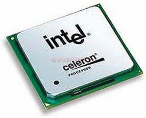 Intel celeron 2.4 tray