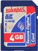 Takems - card sdhc 4gb (clasa 2)