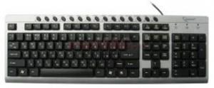 Gembird - Tastatura Gembird Multimedia KB-8300UM USB (Argintie)
