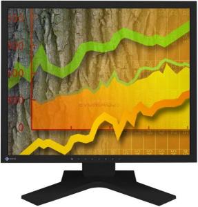 EIZO - Monitor LCD 19" S1902SH (Negru) Profesional