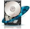 Seagate - HDD Server Constellation ES, 500GB, SAS II