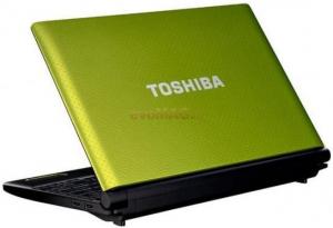 Toshiba -  Laptop NB520-10C (Intel Atom N550, 10.1", 1GB, 250GB, Windows 7 Starter, Verde)