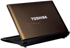 Toshiba -  Laptop NB550D-109 (AMD C50, 10.1", 1GB, 250GB, BT, Windows 7 Starter, Maro)