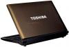 Toshiba -  laptop nb550d-109 (amd c50, 10.1", 1gb, 250gb, bt, windows